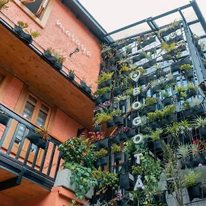 Masaya Hostal